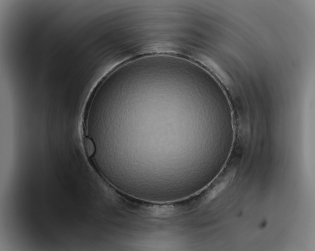 X0000094180893200711161725