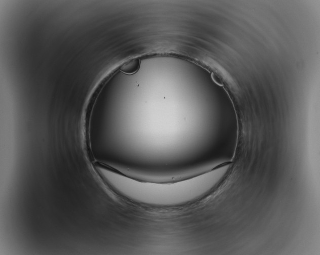 X0000094180894200711161725