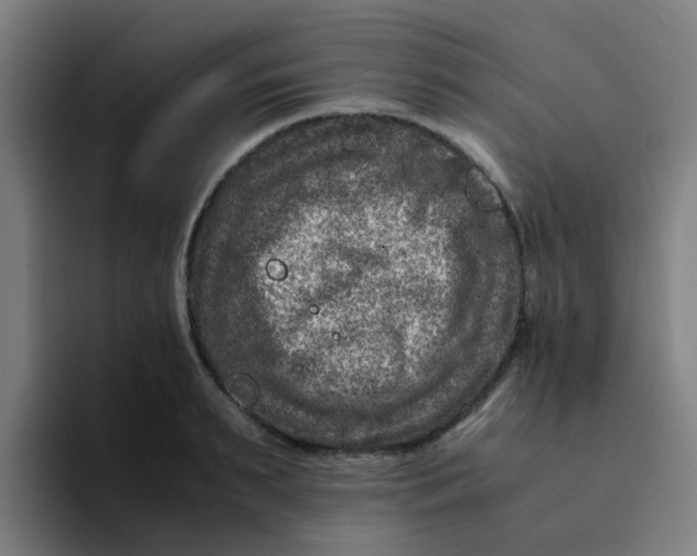 X0000094180895200711161725