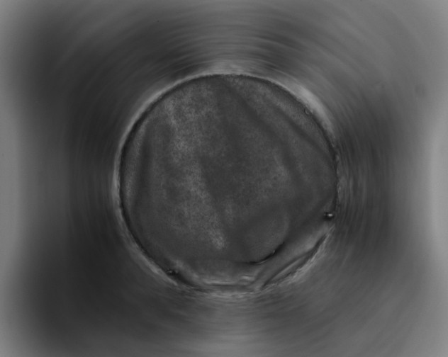 X0000094180896200711161725