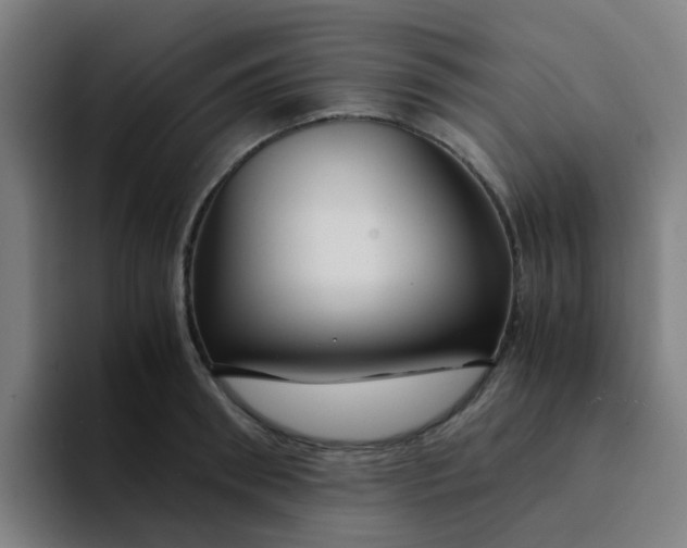 X0000094180898200711161725