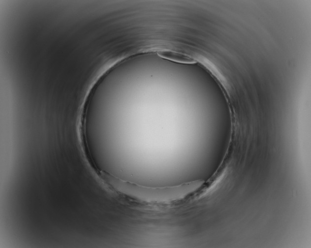 X0000094180901200711161725