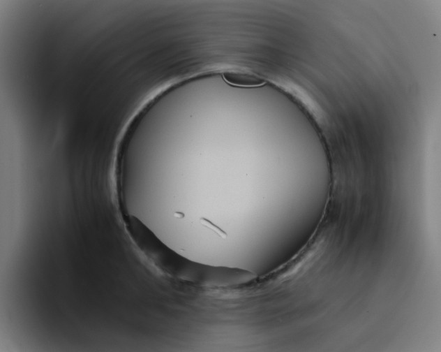 X0000094180902200711161725