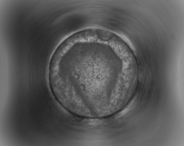 X0000094180903200711161725