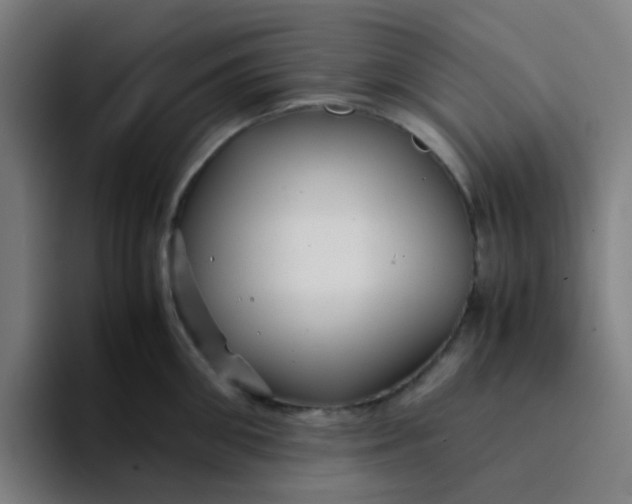 X0000094180906200711161725