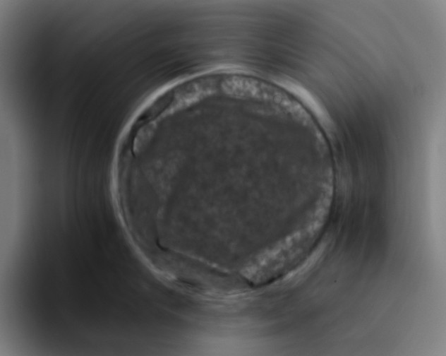 X0000094180910200711161725