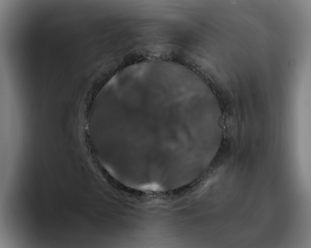 X0000094180913200711161725