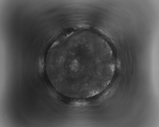 X0000094180915200711161725