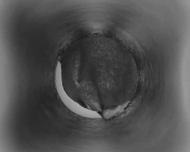X0000094180916200711161725