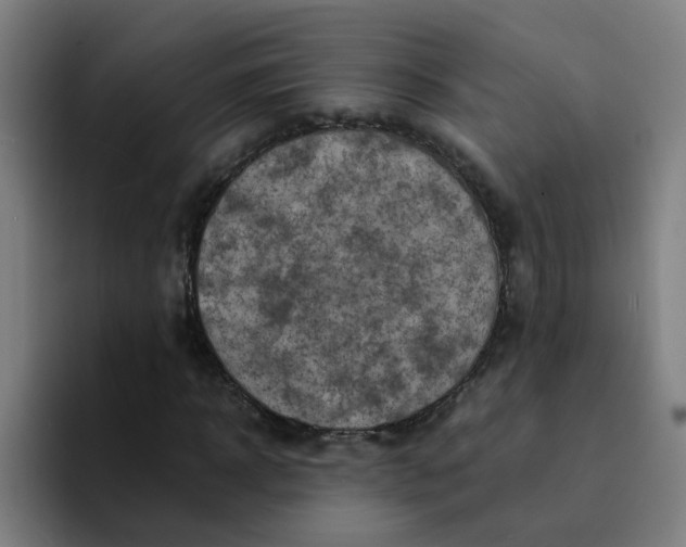 X0000094180918200711161725