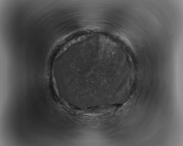 X0000094180920200711161725