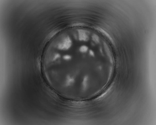 X0000094180921200711161725