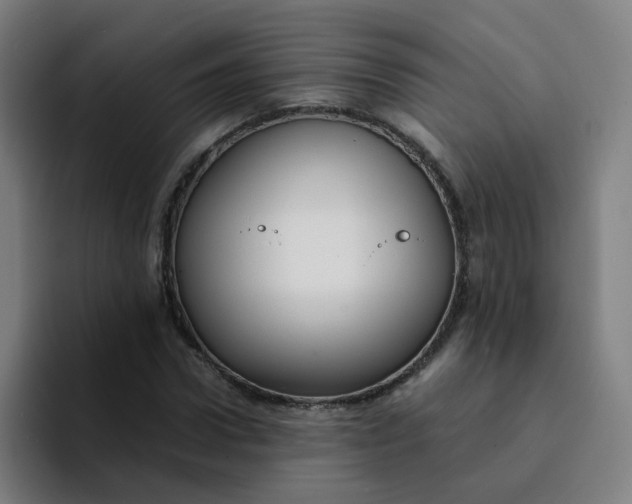 X0000094180922200711161725