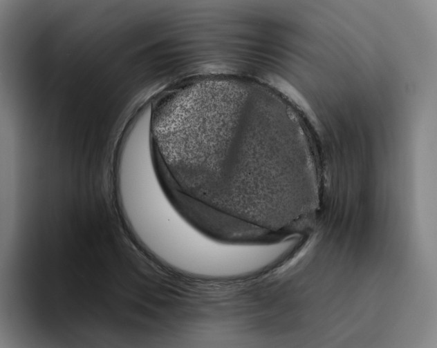 X0000094180930200711161725