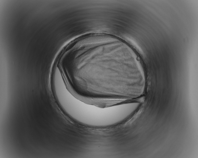 X0000094180932200711161725