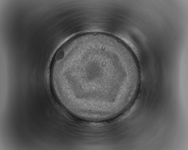 X0000094180933200711161725