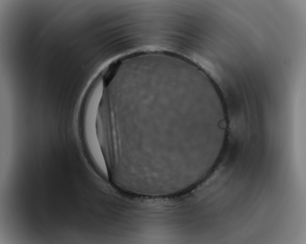 X0000094180934200711161725