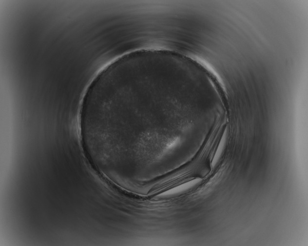 X0000094180935200711161725