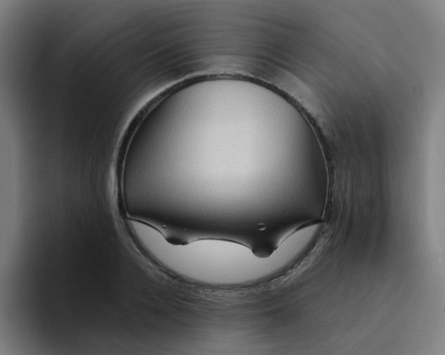 X0000094180936200711161725