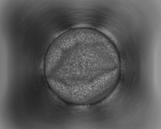 X0000094180937200711161725