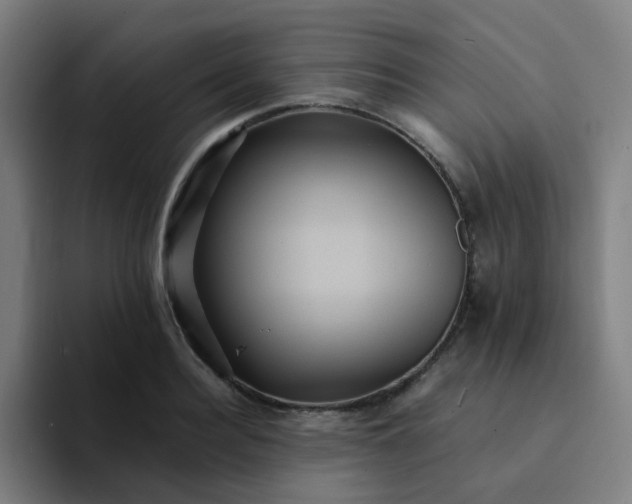 X0000094180940200711161725