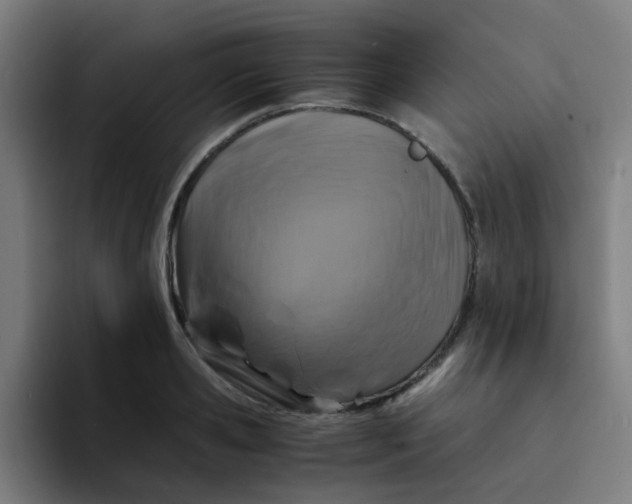 X0000094180941200711161725