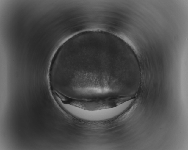 X0000094180943200711161725