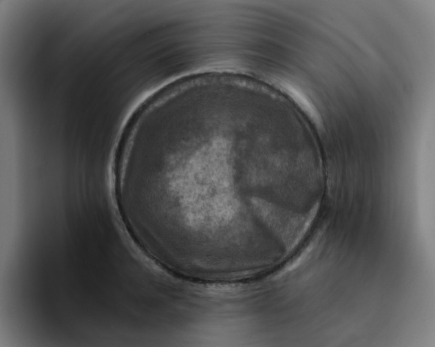X0000094180944200711161725