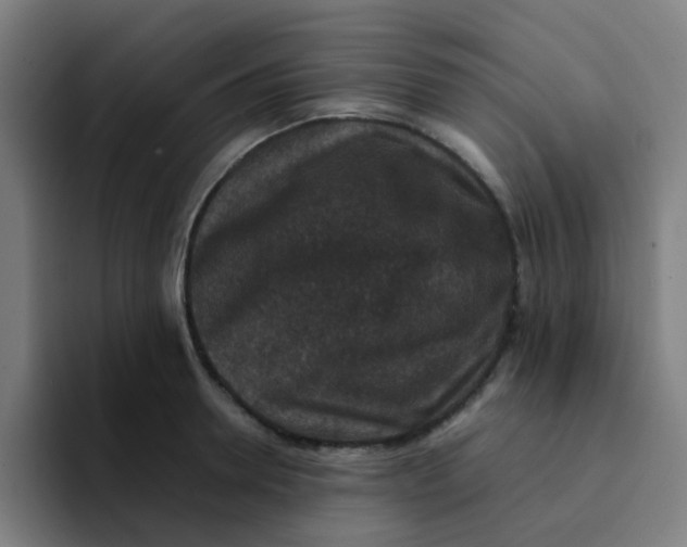 X0000094180946200711161725