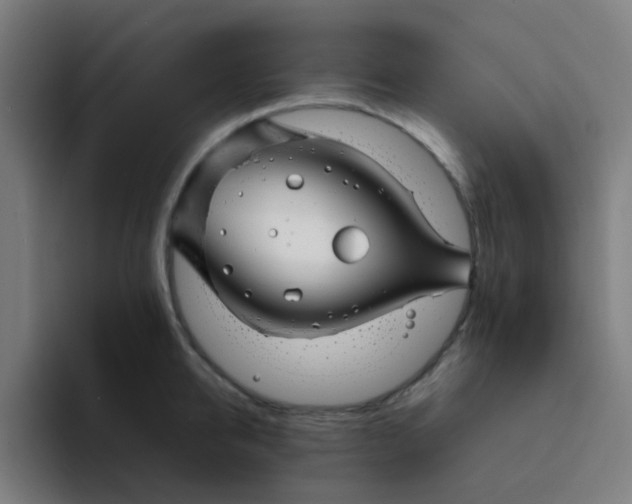 X0000094180950200711161725
