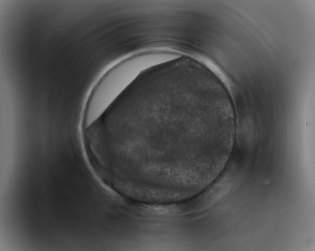 X0000094180951200711161725