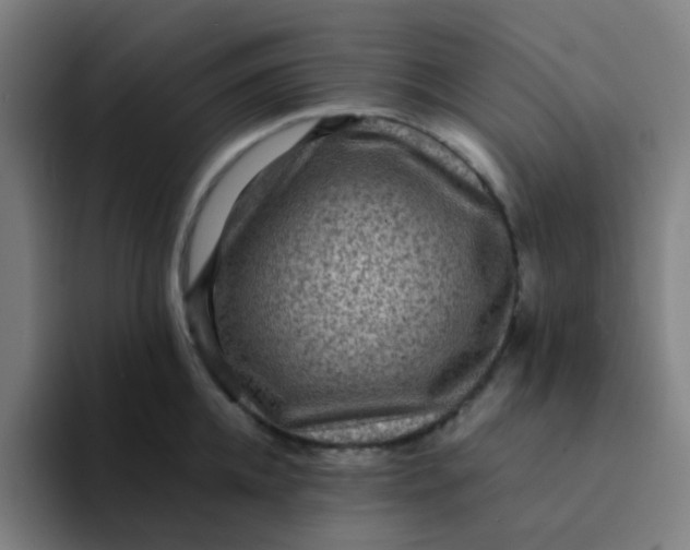 X0000094180952200711161725