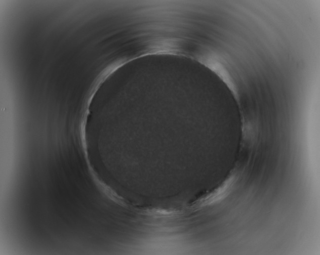 X0000094180954200711161725