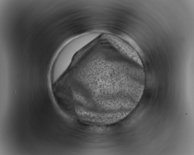 X0000094180955200711161725
