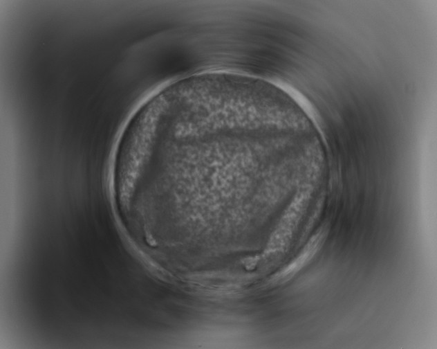 X0000094180957200711161725
