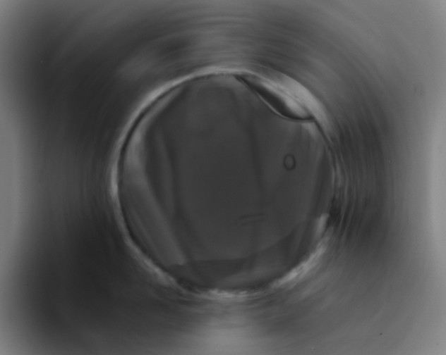 X0000094180958200711161725