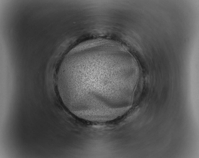 X0000094180961200711161725