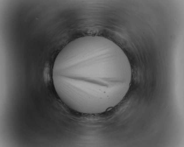 X0000094180962200711161725