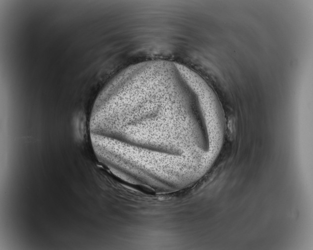 X0000094180963200711161725