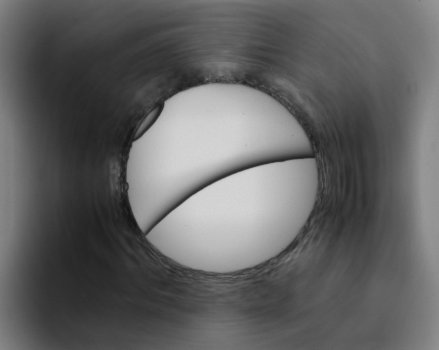 X0000094180964200711161725