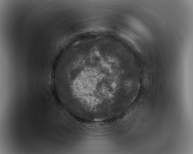 X0000094180966200711161725
