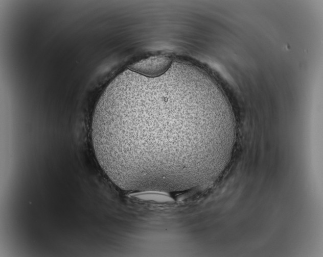 X0000094180967200711161725
