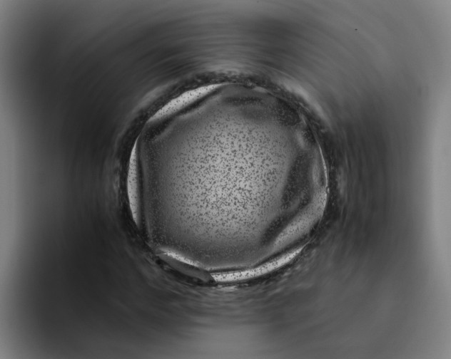 X0000094180968200711161725