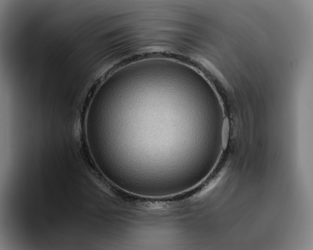 X0000094180969200711161725