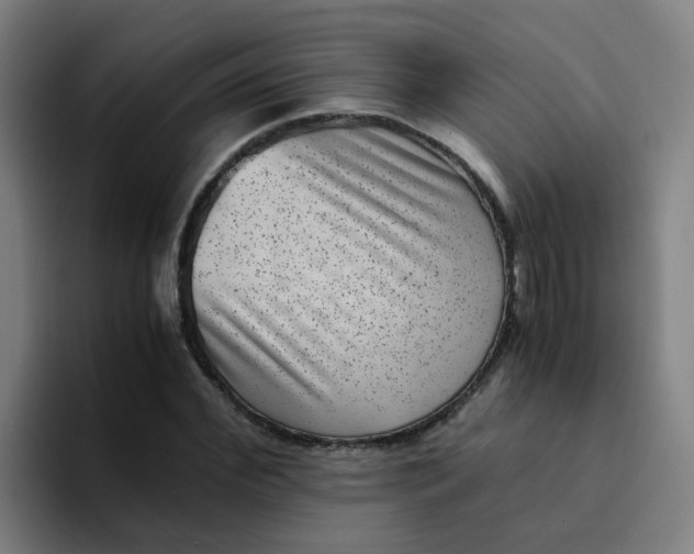 X0000094180972200711161724