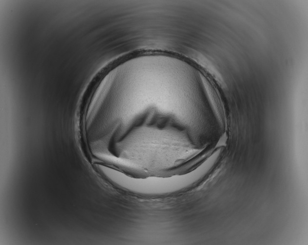 X0000094180976200711161724