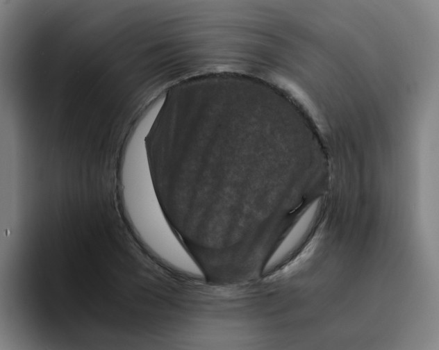X0000094180977200711161724