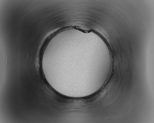 X0000094180979200711161724