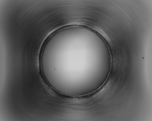 X0000094180980200711161724