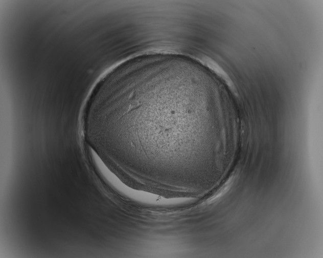 X0000094180981200711161724